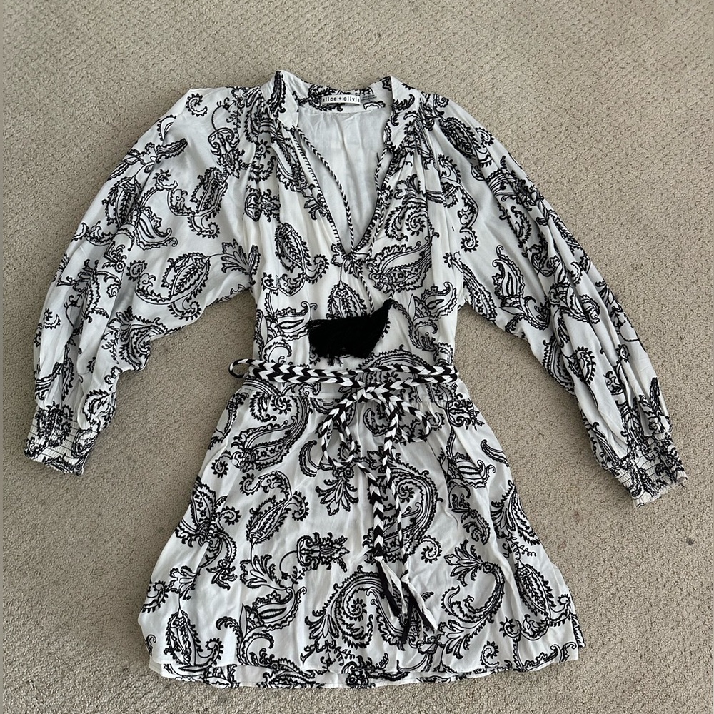 Alice and Olivia Lillian Embroidered Mini Dress Size 2